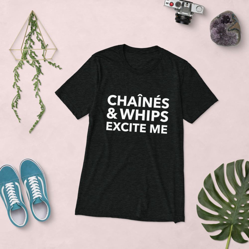 Chaînés and Whips Excite Me Unisex T-Shirt